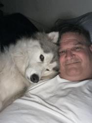 Lost Female Dog last seen Near Opa Lacha, Miami, FL 33168