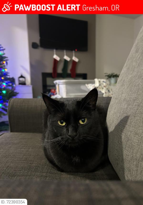 Lost Female Cat last seen Telford rd and palmblad rd, Gresham, OR 97080