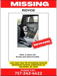 Lost Male Dog last seen Highway SR15, Belleville, IL 62220