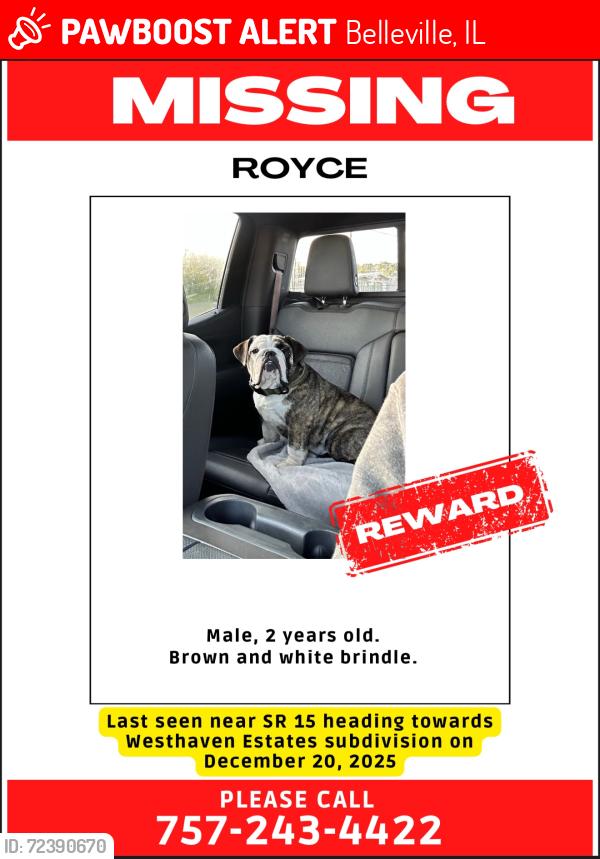 Lost Male Dog last seen Highway SR15, Belleville, IL 62220