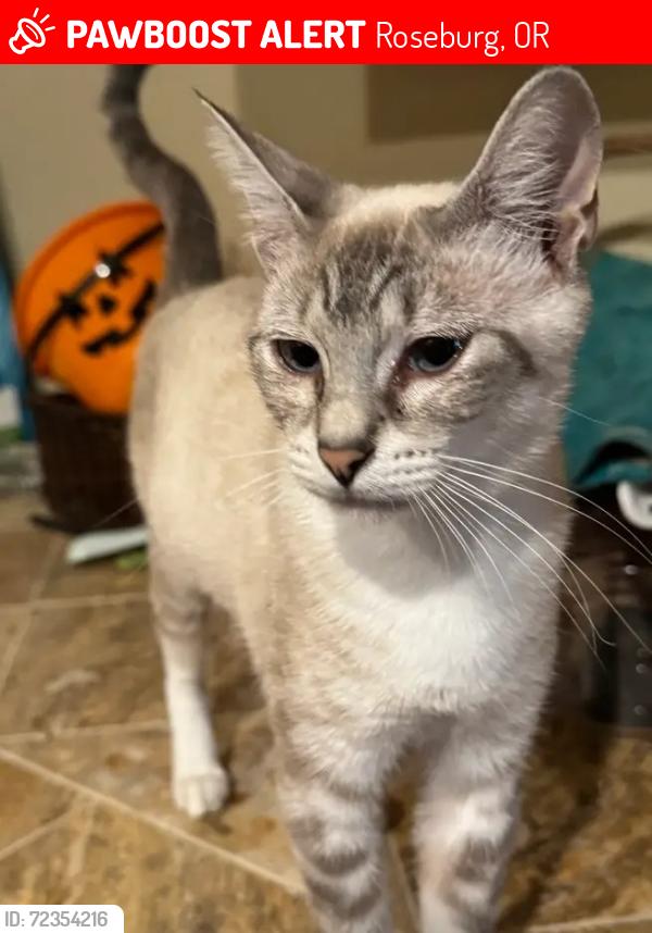 Lost Female Cat last seen Roberts creek road, Roseburg, OR 97471