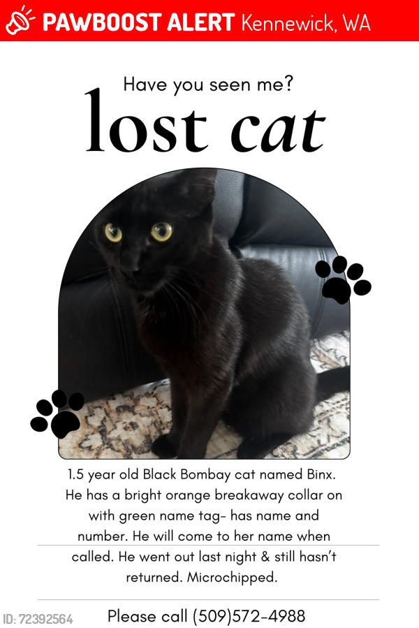 Lost Male Cat last seen Cascade and 2nd ave, Kennewick, WA 99336