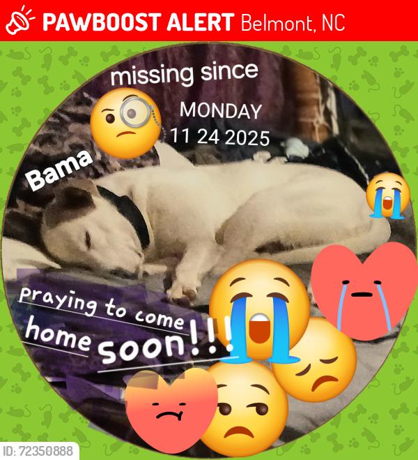 Lost Male Dog last seen Woodland ave  ,acme rd. Perfection ave, Belmont, NC 28012