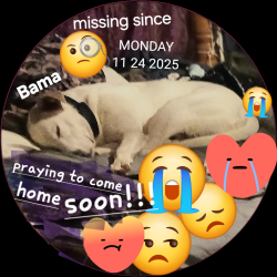 Lost Male Dog last seen Woodland ave  ,acme rd. Perfection ave, Belmont, NC 28012