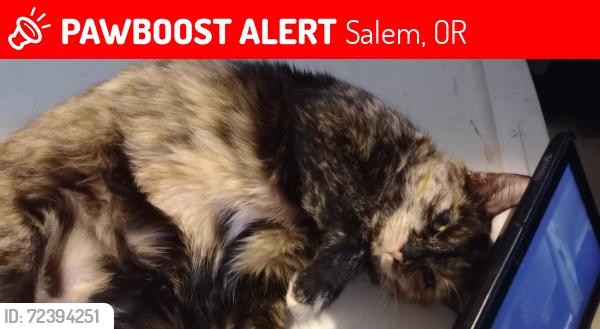 Lost Female Cat last seen Ratcliffe Dr. and Pheasant, Salem, OR 97302