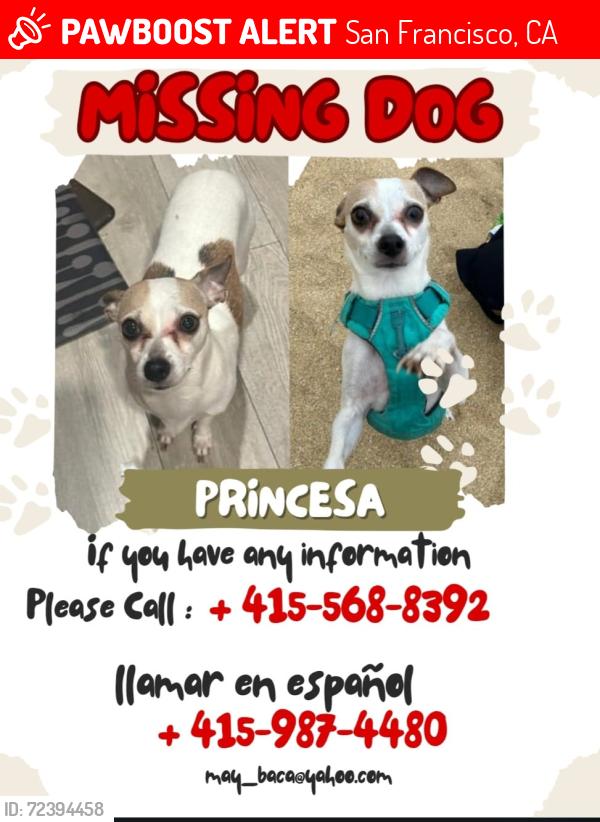 Lost Female Dog last seen Mission st and 30th, San Francisco, CA 94110