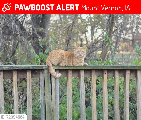 Lost Male Cat last seen Mount Vernon Nature Park, Mount Vernon, IA 52314