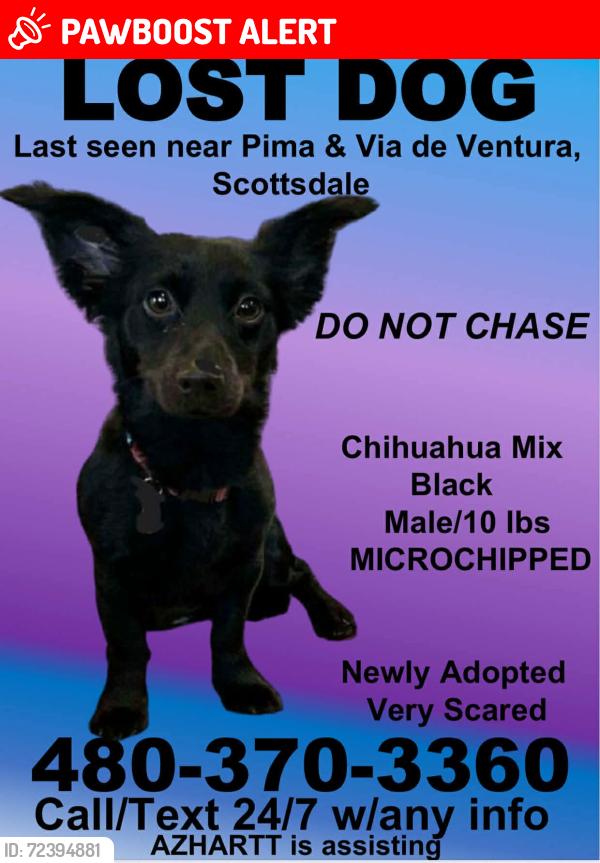 Lost Male Dog last seen Hayden and McCormick parkway , Maricopa County, AZ 85258