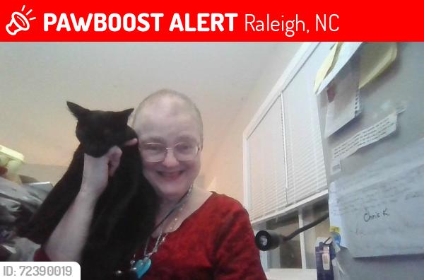 Lost Female Cat last seen WHITMORE AND LEXINGTON/ RALEIGH NC 27606, Raleigh, NC 27606