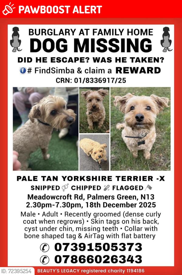 Lost Male Dog last seen Avondale road, green lanes, stonard road, Eaton park road , Greater London, England N13 4DS