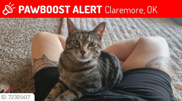 Lost Male Cat last seen N Garnett rd and E 96th St Intersection between Chase Bank and QT, Owasso, OK 74055