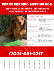 Lost Female Dog last seen Mott and Whittier, Los Angeles, CA 90023