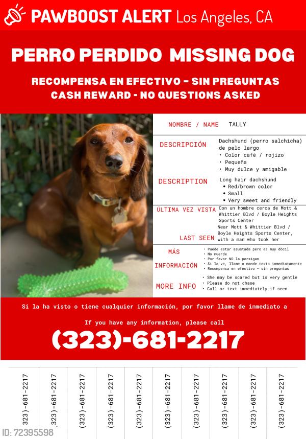 Lost Female Dog last seen Mott and Whittier, Los Angeles, CA 90023