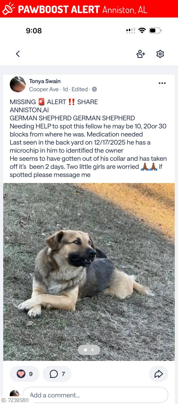 Lost Male Dog last seen Dudley/Cooper ave, Anniston, AL 36201