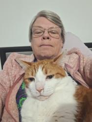 Lost Male Cat last seen Bowling Park, West Yorkshire, England BD4