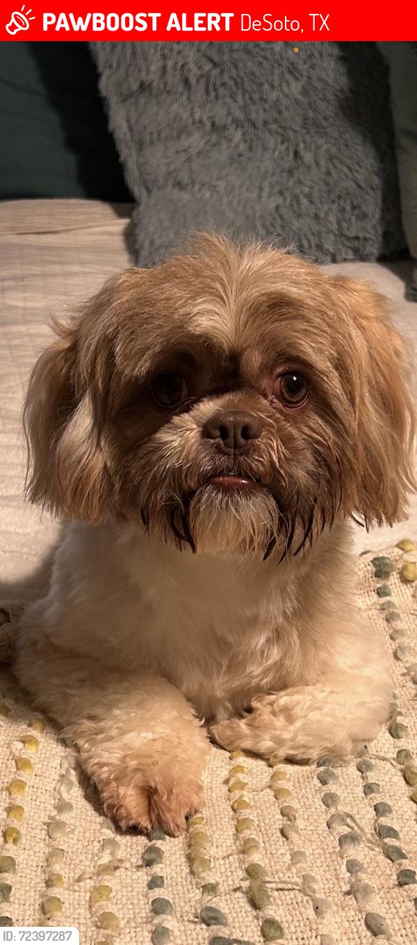 Lost Male Dog last seen Parkerville and Aviary, DeSoto, TX 75115