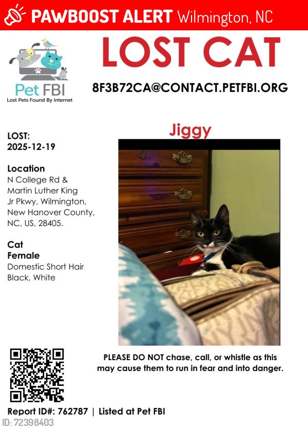 Lost Female Cat last seen Intersection between North College and Martin Luther King Parkway, Wilmington, NC 28405