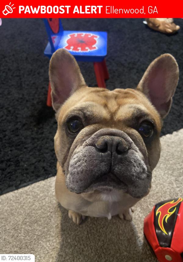 Lost Male Dog last seen Last seen running around in Brenston Place subdivision , Ellenwood, GA 30273