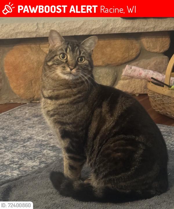 Lost Male Cat last seen Golf and rapids , Racine, WI 53404