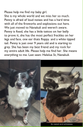 Lost Female Dog last seen Helelua st, Waianae, HI 96792