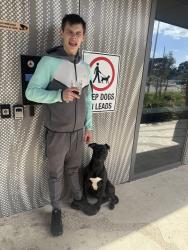 Lost Male Dog last seen Sweet spot, Lalor, VIC 3075