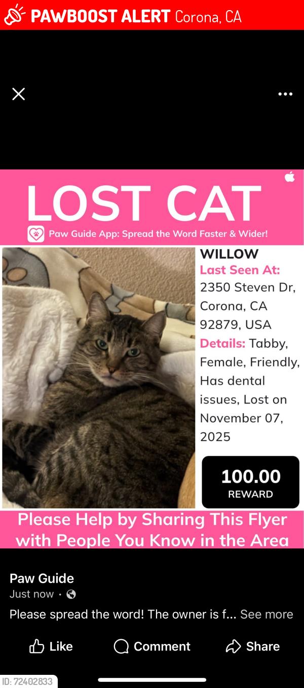 Lost Female Cat last seen Little Rock Park , Corona, CA 92879