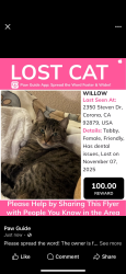 Lost Female Cat last seen Little Rock Park , Corona, CA 92879