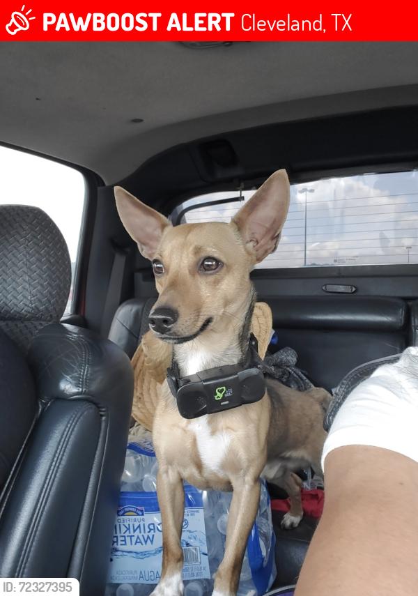 Lost Male Dog last seen Grand Oaks Reserve , Cleveland, TX 77327