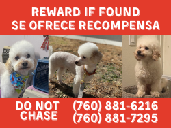 Lost Female Dog last seen Sitting Bull St and Eleventh St, Victorville, CA 92395