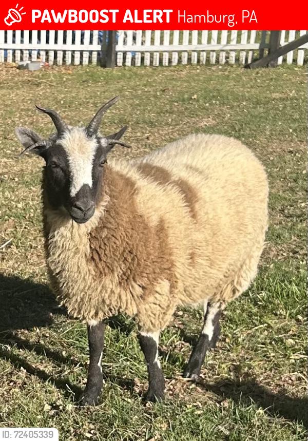 Lost Female Other last seen Ontelaunee Trail & Onyx Cave Road, Hamburg, PA 19526