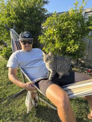 Lost Female Cat last seen Lucerne Circle and Lake Ridge , San Marcos, CA 92078