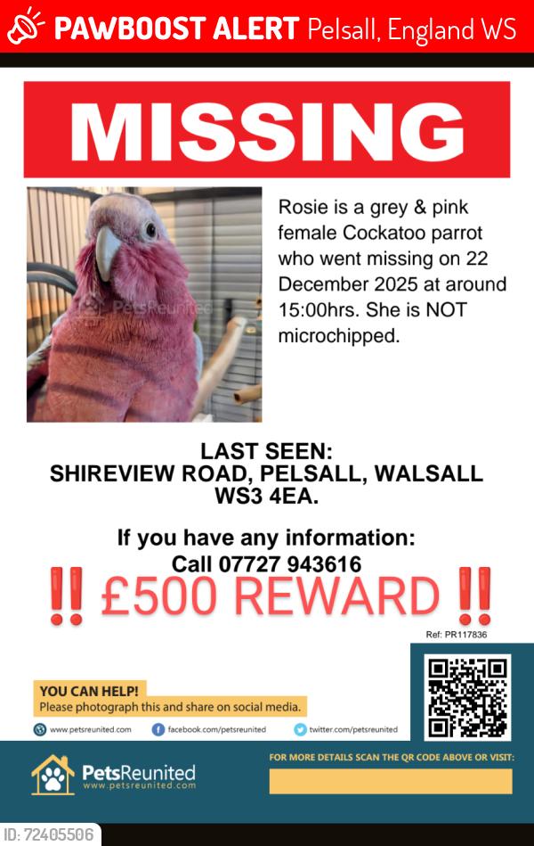 Lost Female Bird last seen Pelsall Common , Pelsall, England WS3