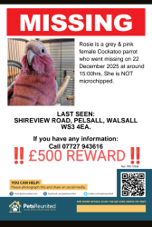 Lost Female Bird last seen Pelsall Common , Pelsall, England WS3