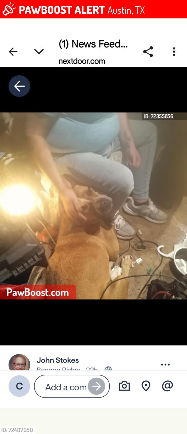 Lost Male Dog last seen William Cannon  n slaughter , Austin, TX 78744