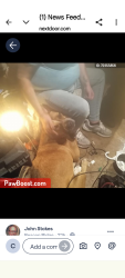 Lost Male Dog last seen William Cannon  n slaughter , Austin, TX 78744