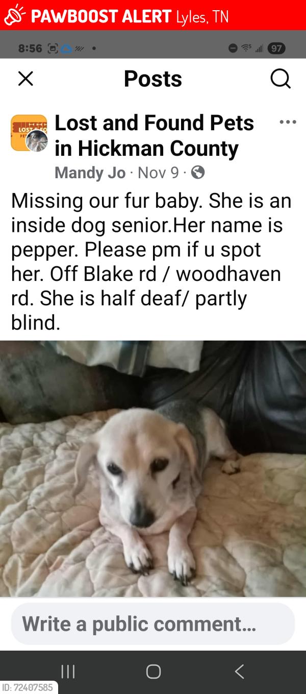 Lost Female Dog last seen East Hickman County TN , Lyles, TN 37098