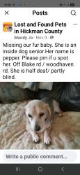 Lost Female Dog last seen East Hickman County TN , Lyles, TN 37098