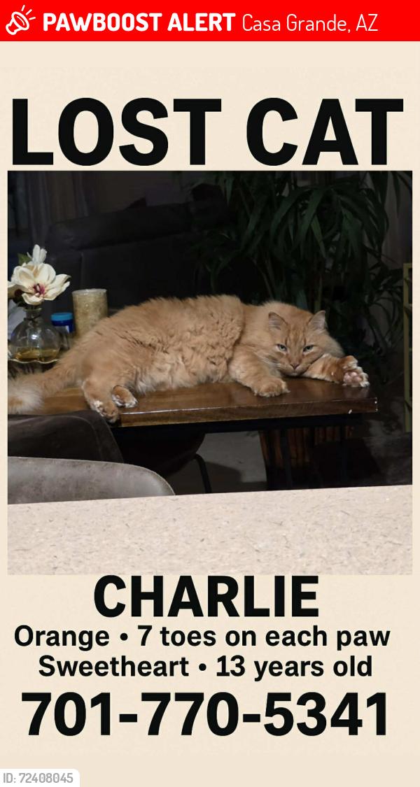 Lost Male Cat last seen Mission Royale, Casa Grande, AZ 85122