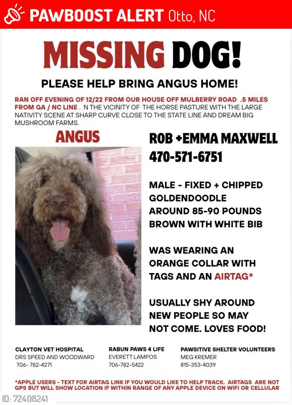 Lost Male Dog last seen Crystal Creek Road and Mulberry Road 28763, Otto, NC 28734
