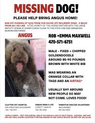 Lost Male Dog last seen Crystal Creek Road and Mulberry Road 28763, Otto, NC 28734