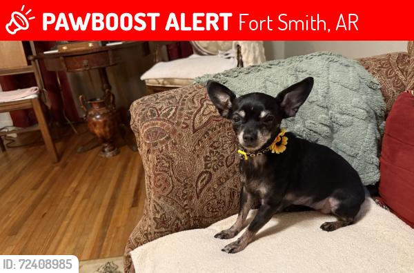 Lost Female Dog last seen Greenwood Ave South 21st. Dodson Ave, Fort Smith, AR 72901