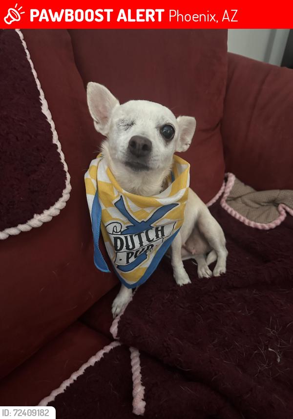 Lost Female Dog last seen 26th st and Hartford , Phoenix, AZ 85032