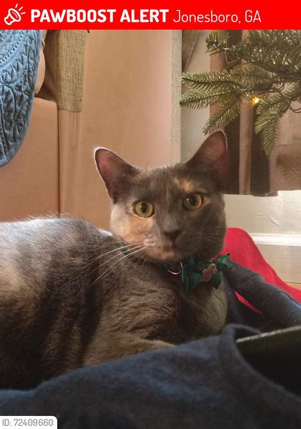 Lost Female Cat last seen Near liberty ln Jonesboro ga 30238, Jonesboro, GA 30238