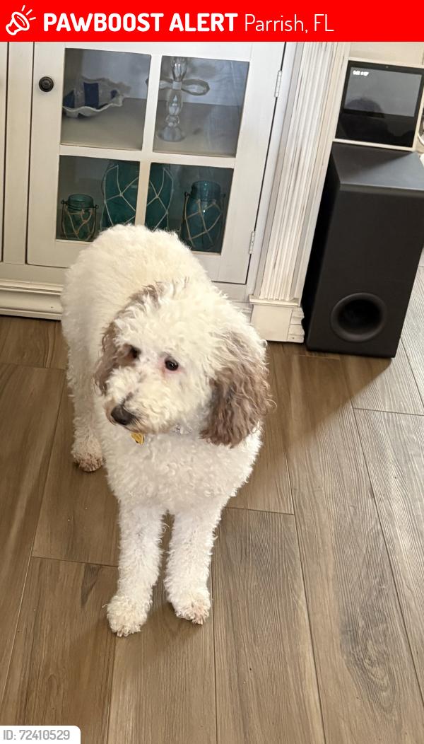 Lost Female Dog last seen Old Farm Rd and Ft Hamer, Parrish, FL 34219