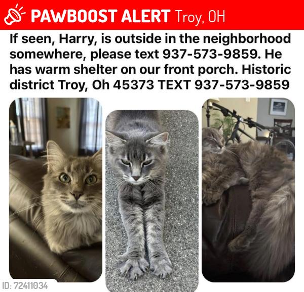 Lost Male Cat last seen Race, Troy, OH 45373
