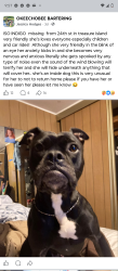 Lost Female Dog last seen Seminole Brighton casino, Seminole, FL 33772