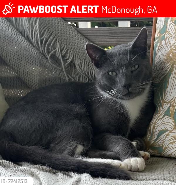 Lost Male Cat last seen East Lake Road and Russell Drive, McDonough, GA 30252