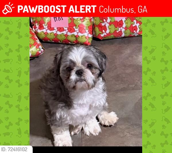 Lost Male Dog last seen Munson, Columbus, GA 31903