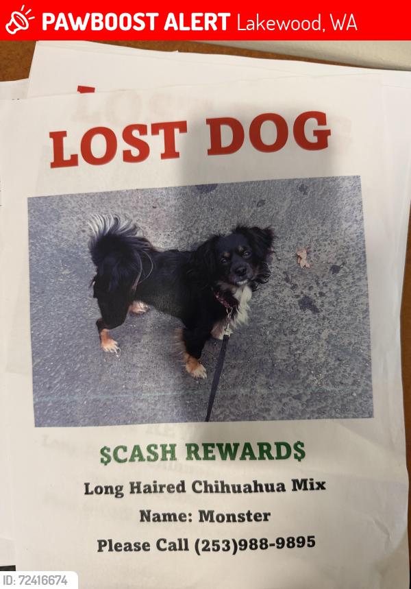 Lost Male Dog last seen Tillicum, Lakewood, WA 98498