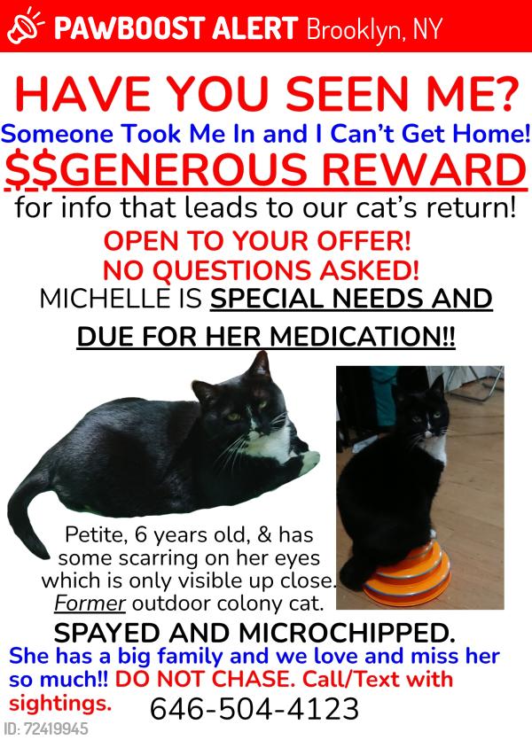 Lost Female Cat last seen Vernon Ave & Stuyvesant Ave, Brooklyn, NY 11206